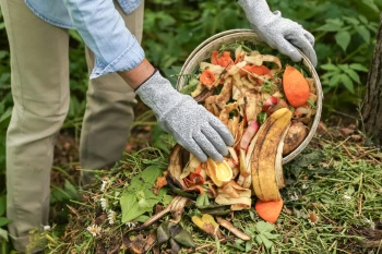 Compostarea pentru Începători: Cum să creezi cel mai bun îngrășământ natural pentru legumele tale!