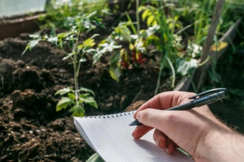 Cum să creezi un jurnal de grădinărit pentru a urmări evoluția plantelor
