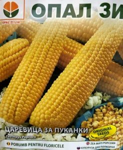 Seminte porumb de floricele Popcorn Plomyk, 20 grame, Opal