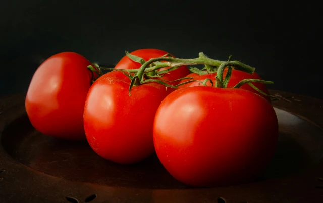resized640_seminte--hibrid--de--tomate--rosii--tomate--elena--prima--f1--0--2--grame--opal--seq-4.webpSeminte hibrid de tomate (rosii) Tomate Elena Prima F1, 0.2 grame, Opal
