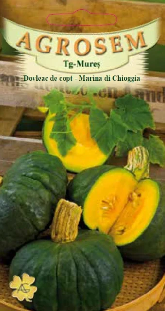 resized640_dovleac-de-copt-marina-di-chioggia,-agrose.webpDovleac Marina di Chioggia (2g - 8 seminte), soi tardiv, coajă verde, miez portocaliu dulce - Agrosem