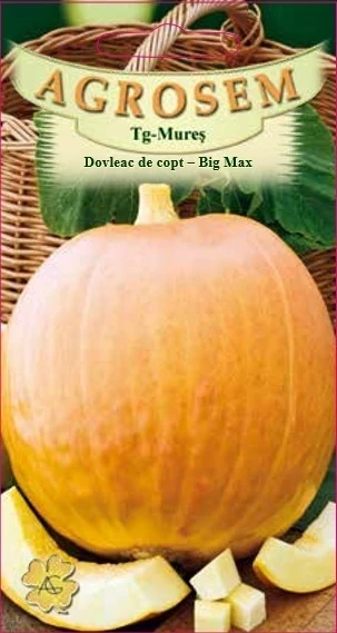 resized640_dovleac-de-copt-big-max-seminte.webpDovleac Big Max (1.5g - 6 seminte), soi productiv, dovleci mari, pulpa groasa si dulce, Agrosem