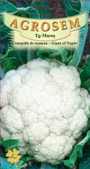 resized640_giant-of-naples-agrosem.webpSeminte de Conopida Giant of Naples (0.8g - 240 seminte), soi tardiv, capatană mare albă - Agrosem