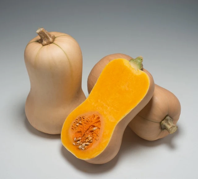 resized640_dovlecel--placintar--butternut--rugosa--2g--seminte--tardiv--gust--dulce--aromat--agrosem--seq-3.webpDovlecel Placintar Butternut Rugosa 2g - Seminte Tardiv, Gust Dulce Aromat, Agrosem