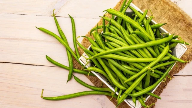 resized640_contender--150g--seminte--fasole--pitica--verde--fara--ate--pastaie--cilindrica--agrosem--seq-2.webpContender 150g - Seminte fasole pitica verde, fara ate, pastaie cilindrica, Agrosem