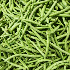 Fasole pitica Cannellino 100g - Seminte soi semitimpuriu, fasole oloaga pentru boabe, foarte productiva, Agrosem