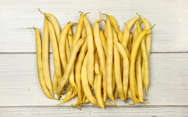 resized640_yellow--string--wax--beans--white--boards--tabletop--view--692357--2589--jpg--seq-2.webpGolden Gate 30g - Seminte fasole urcatoare, pastaie lata galbena, frageda, fara ate, productie ridicata, Agrosem