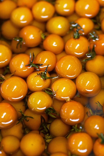 resized640_seminte--de--rosii--yellow--cherry--0--3g--90--seminte--soi--timpuriu--tomate--rotunde--si--mici--cu--gust--aromat--agrosem--seq-3.webpSeminte de rosii Yellow Cherry (0,3g) 90 seminte, soi timpuriu,tomate rotunde si mici, cu gust aromat, Agrosem