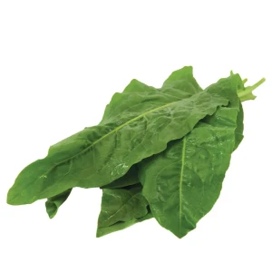 resized300_seminte-de-stevie-(0,2-g---70-seminte),-planta-perena-pentru-gatit,-agrosem.webp Seminte de Stevie (0,2 g - 70 seminte), planta perena pentru gatit, Agrosem