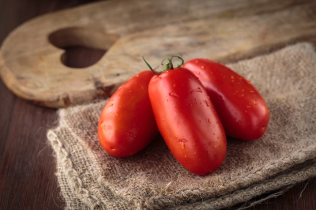 resized640_seminte--de--rosii--san--marzano--2--0--4--g--120--seminte--tomate--gustoase--agrosem--seq-3.webpSeminte de Rosii San Marzano 2 (0,4 g) 120 seminte, tomate gustoase, Agrosem