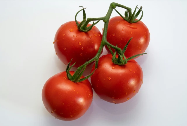 resized640_seminte--de--rosii--buzau--22--2--g--600--seminte--soi--romanesc--tomate--productive--agrosem--seq-4.webpSeminte de rosii Buzau 22 (2 g) 600 seminte, soi romanesc, tomate productive, Agrosem