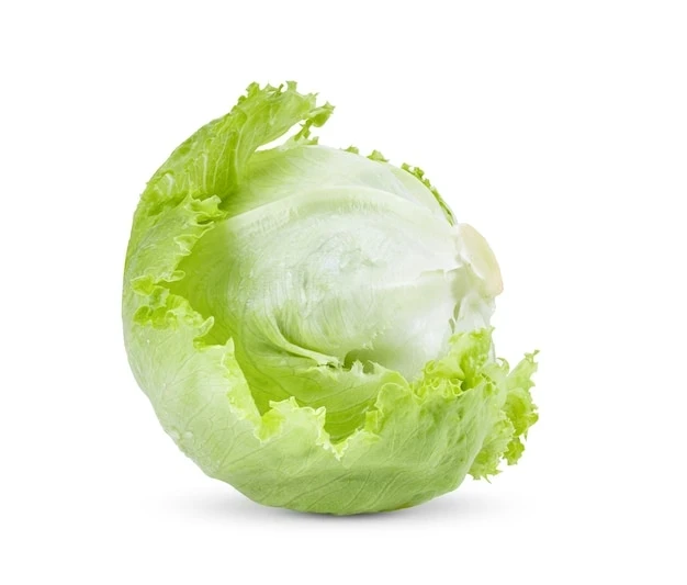 resized640_green--iceberg--lettuce--white--background--253984--5899--jpg--seq-2.webpSeminte de salata Iceberg - Soi Foarte Productiv cu Marime Medie - 1800 seminte, Opal