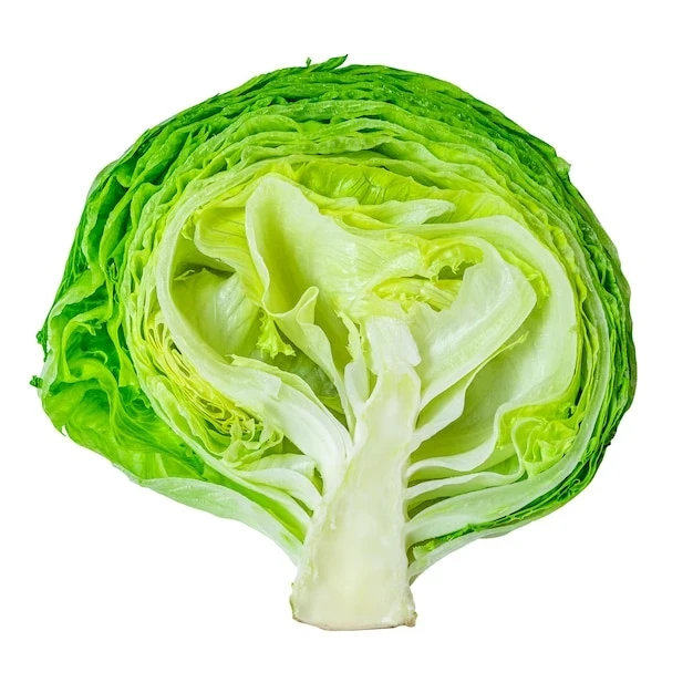 resized640_isolated--cutted--section--iceberg--letucce--cabbage--with--clipping--path--dietary--food--rich--with--vitamins--fibers--healthy--ingredient--farm--harvest--984126--3419--jpg--seq-3.webpSeminte de salata Iceberg - Soi Foarte Productiv cu Marime Medie - 1800 seminte, Opal