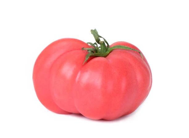 resized640_seminte--de--rosii--roz--0--3--g--90--seminte--soi--semitimpuriu--cu--crestere--nedeterminata--tomate--mari--cu--miez--foarte--zemos--si--gust--deosebit--agrosem--seq-3.webpSeminte de rosii roz (0,3 g) 90 seminte, soi semitimpuriu cu crestere nedeterminata, tomate mari, cu miez foarte zemos si gust deosebit, Agrosem