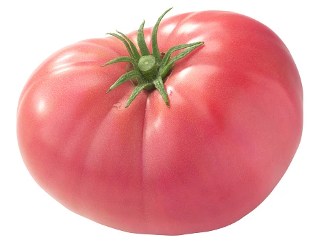 resized640_seminte--de--rosii--roz--0--3--g--90--seminte--soi--semitimpuriu--cu--crestere--nedeterminata--tomate--mari--cu--miez--foarte--zemos--si--gust--deosebit--agrosem--seq-4.webpSeminte de rosii roz (0,3 g) 90 seminte, soi semitimpuriu cu crestere nedeterminata, tomate mari, cu miez foarte zemos si gust deosebit, Agrosem