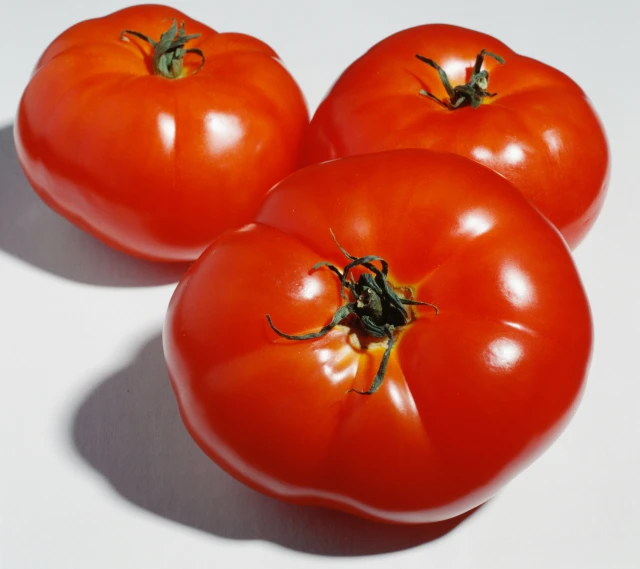 resized640_rosii--harmonia--seminte--de--tomate--bulgaresti--pentru--cultura--a--doua--0--2--grame--opal--seq-3.webpRosii Harmonia -  Seminte de Tomate Bulgaresti pentru cultura a doua - 0.2 grame, Opal
