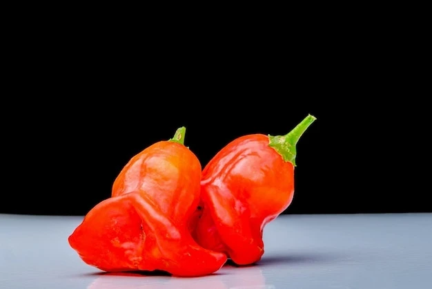 resized640_bishop--s--crown--christmas--bell--joker--s--hat--is--pepper--cultivar--species--capsicum--baccatum--var--pendulum--678386--542--jpg--seq-3.webpArdei iute decorativ Clopotei 7 seminte, soi tardiv ornamental, fructe mici, clopotei, gust iute, Agrosem