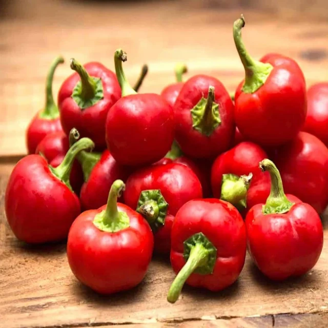 resized640_seminte--de--ardei--iute--red--cherry--small--0--3g--45--seminte--soi--productiv--mici--rotund--gust--foarte--iute--agrosem--seq-2.webpSeminte de Ardei iute Red Cherry Small (0,3g) 45 seminte, soi productiv, mici, rotund, gust foarte iute, Agrosem