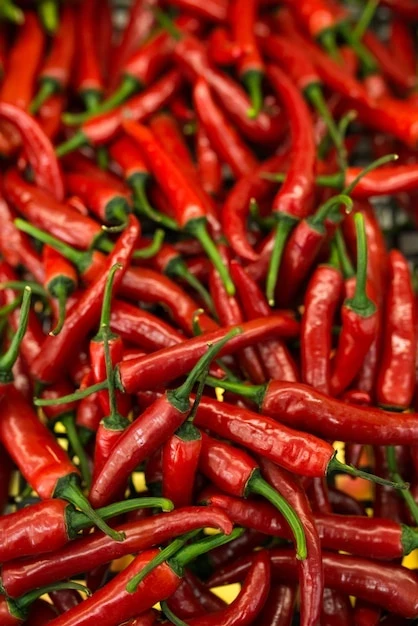 resized640_lot--small--red--hot--chili--peppers--327697--387--jpg--seq-3.webpSeminte de Ardei iute de Cayenne (3 g - 450 seminte ), soi semitimpuriu, fructe alungite, gust picant, Agrosem