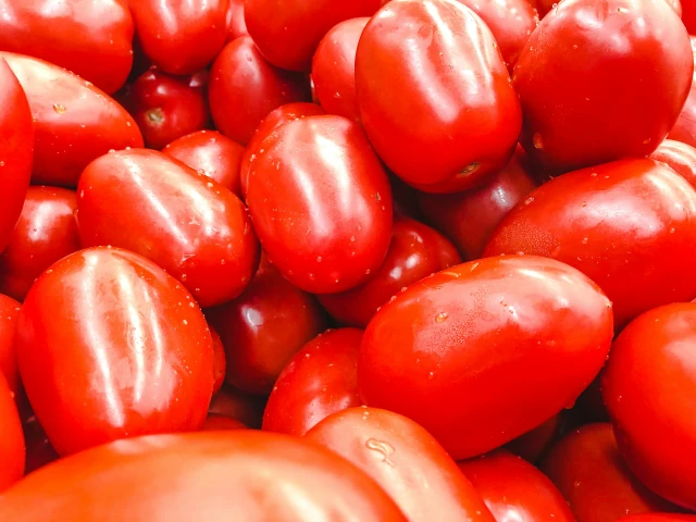resized640_seminte--tomate--silvia--0--6g--agrosel--seq-4.webpSeminte Tomate Silvia - 0,6g, Agrosel