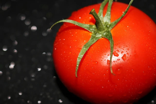 resized640_seminte--tomate--raluca--0--6g--agrosel--seq-3.webpSeminte Tomate Raluca - 0,6g, Agrosel