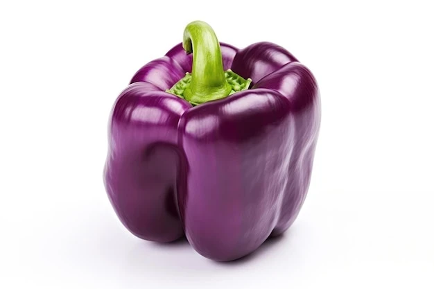 resized640_purple--bell--pepper--closeup--white--background--864588--10827--jpg--seq-3.webpArdei gras Oda (0,2 g), 30 de seminte timpurii, fructe mov, dulci si suculente, Agrosem