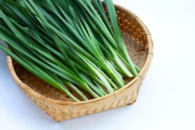 resized640_fresh--chinese--chive--leaves--bamboo--basket--51524--21078--jpg--seq-3.webpCeapa de tuns (0,4 g), seminte de planta perena aromatica, Allium schoenoprasum, ideala pentru frunze, Agrosem