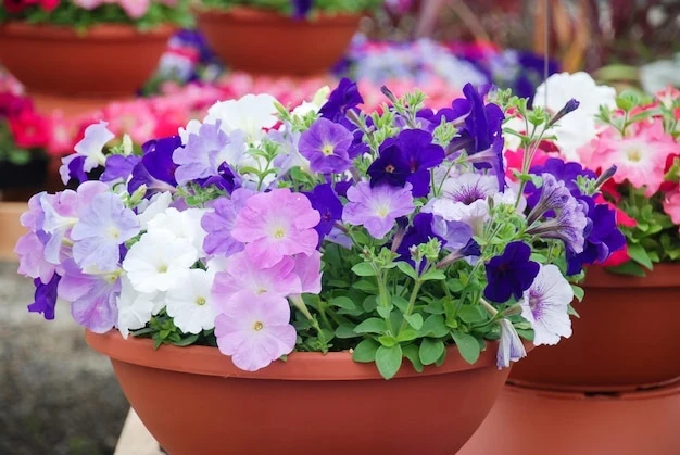 resized640_petunia--petunias--traypetunia--pot--multicolor--flowers--42327--734--jpg--seq-2.webpPetunia - Seminte Flori Petunie mixed,  0.2 grame, Opal