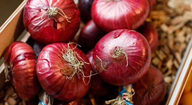 resized640_ceapa--lilia--seminte--de--ceapa--rosie--soi--italian--10--grame--opal--seq-6.webpCeapa LILIA - Seminte de Ceapa rosie - Soi italian, 10 grame, Opal