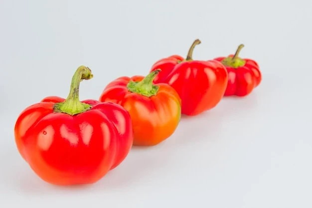 resized640_colorful--small--red--peppers--white--background--sweet--pepper--mini--bell--assorted--paprika--peppers--row--from--bigger--smaller--concept--growth--diversity--106652--2199--jpg--seq-2.webpArdei Gogosar Rotund Neted - 150 seminte, Opal
