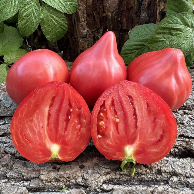 resized640_tomate--amore--roz--50--seminte--soi--mediu--timpuriu--nedeterminat--fruct--pana--la--1--5--kg--roz--intens--carnoase--si--extrem--de--gustoase--florian--seq-3.webpTomate Amore Roz - 50 seminte, soi mediu timpuriu, nedeterminat, fruct pana la 1.5 kg, roz intens, carnoase si extrem de gustoase, Florian