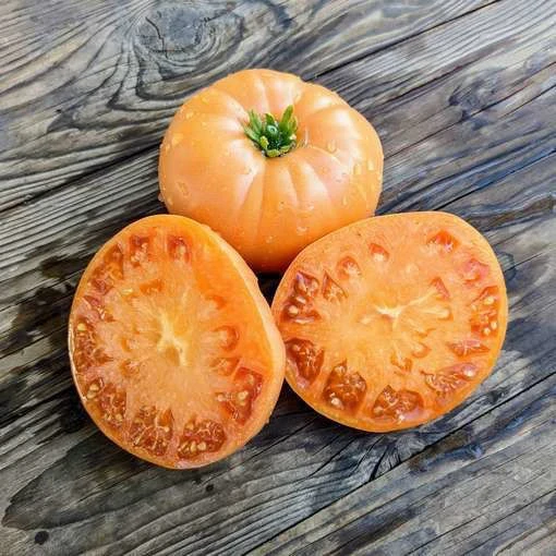 resized640_0005176--jumbo--jim--orange--beefsteak--tomato--510--jpeg--seq-2.webpMinunea portocalie - 70 seminte, rosii exotice foarte aromate de tip gigant, culoare portocalie, Florian