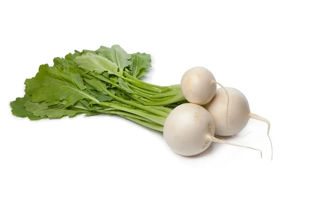 resized640_fresh--white--round--daikon--radish--leaves--isolated--white--background--857988--7718--jpg--seq-2.webpRidichi albe de iarna (5 grame) seminte soi timpuriu, miez carnos, alb, usor iute, Opal