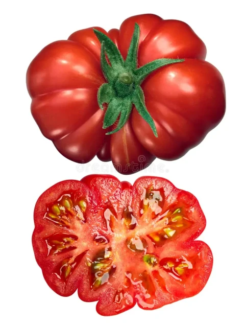 resized640_rosii--costoluto--fiorentino--60--seminte--tomate--crete--soi--foarte--productiv--florian--seq-2.webpRosii Costoluto Fiorentino - 60 seminte, tomate crete, soi foarte productiv, Florian