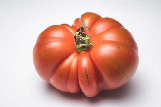 resized640_rosii--costoluto--fiorentino--60--seminte--tomate--crete--soi--foarte--productiv--florian--seq-4.webpRosii Costoluto Fiorentino - 60 seminte, tomate crete, soi foarte productiv, Florian