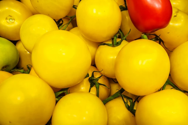 resized640_rosii--cherry--galbene--0--3--g--seminte--de--tomate--galbene--tip--cherry--soi--timpuriu--nedeterminat--florian--bulgaria--seq-2.webpRosii Cherry Galbene (0,3 g), seminte de tomate galbene tip cherry, soi timpuriu nedeterminat, Florian Bulgaria