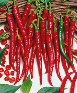 Seminte de ardei iute De Cayenne, 1 gram, Florian