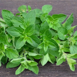 resized300_oregano-medicinal-(sovarf)---3000-seminte,-planta-medicinala,-opal.webp Oregano Medicinal (Sovarf) - 3000 seminte, planta medicinala, Opal