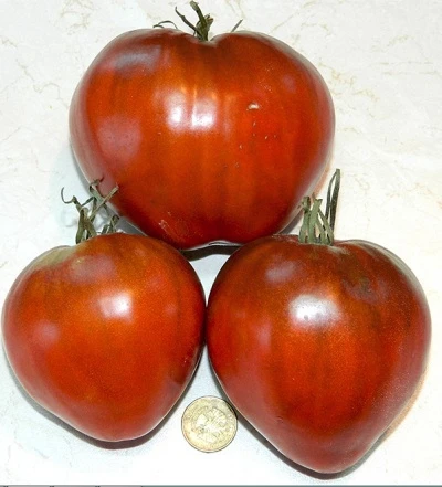 resized640_seminte--de--rosii--inima--ciocolatie--florian--50--seminte--soi--exotic--cu--gust--dulce--si--aroma--intensa--seq-2.webpSeminte de rosii Inima Ciocolatie (Florian, 50 seminte) – Soi exotic, cu gust dulce si aroma intensa
