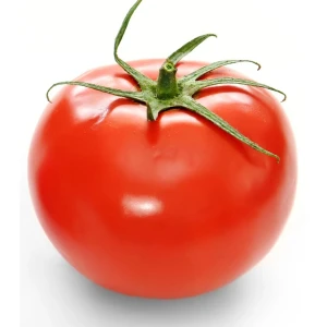 resized300_seminte-de-tomate-ideal---soi-nedeterminat-semitimpuriu---0.5-grame,-opal.webp Seminte de Tomate Ideal - Soi Nedeterminat Semitimpuriu - 0.5 grame, Opal