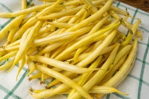 Fasole Kentucky Wonder Wax 80g - Seminte soi timpuriu, fasole urcatoare galbena cilindrica, pastai fragede, Agrosem