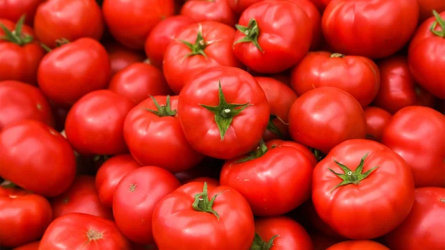 resized640_seminte--tomate--hibrid--nou--bulgaresc--gramada--nedeterminat--semitimpuriu--0--2--grame--opal--seq-3.webpSeminte Tomate Hibrid nou Bulgaresc Gramada - nedeterminat semitimpuriu, 0,2 grame, OPAL