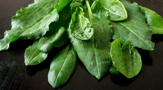 resized640_spanac--winter--giant--50--grame--seminte--spanac--de--iarna--frunze--mari--foarte--gustoase--opal--seq-2.webpSpanac Winter Giant 50 grame, seminte spanac de iarna frunze mari, foarte gustoase, Opal